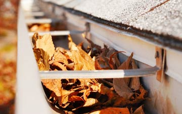 Strachan gutter cleaning companies